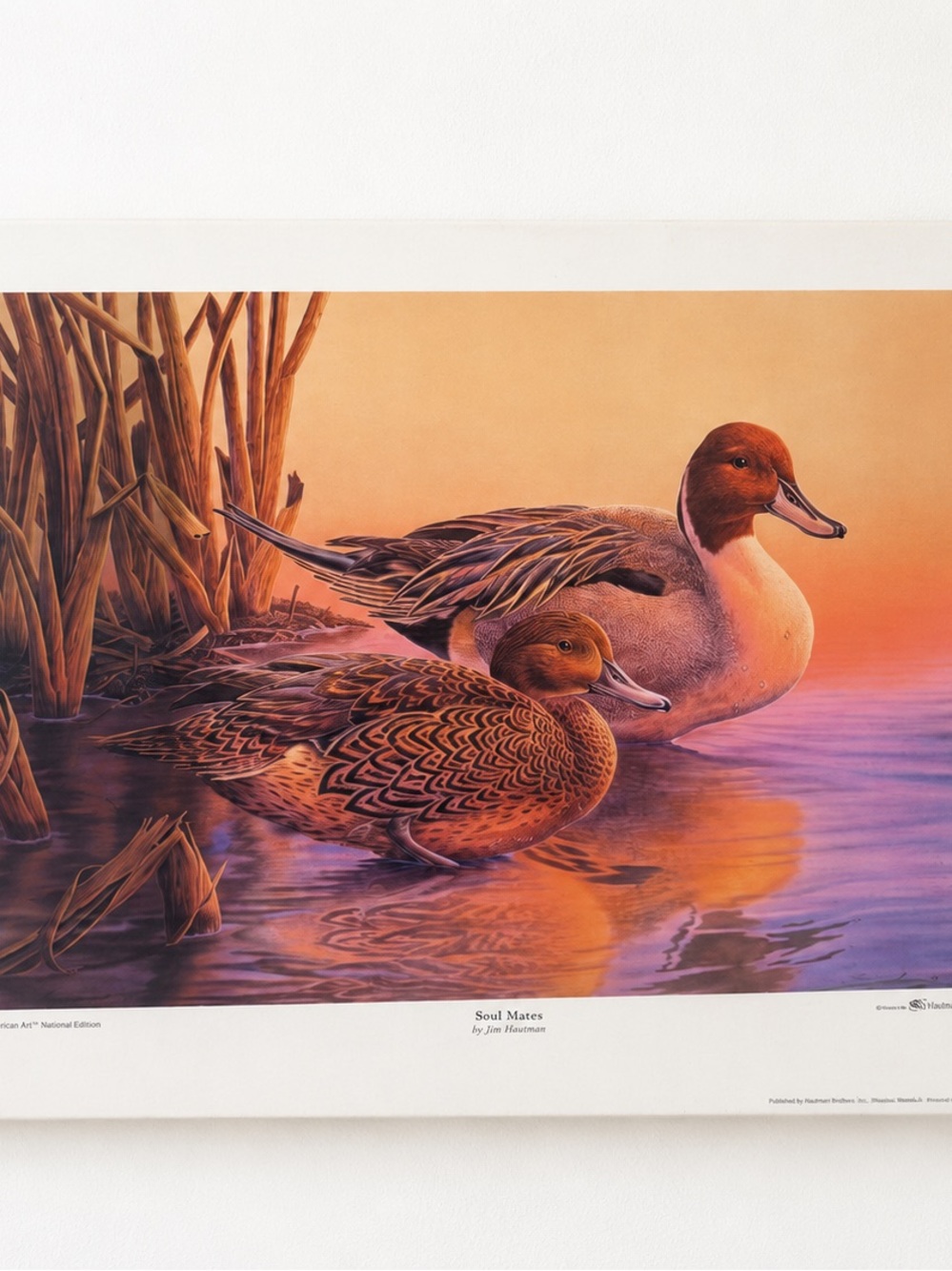 Vintage Soul Mates Duck Art Print (Unframed)